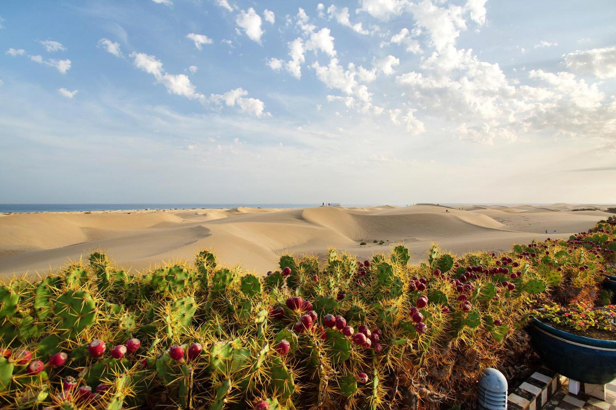 Villa Dunas Maspalomas 마스팔로마스 외부 사진